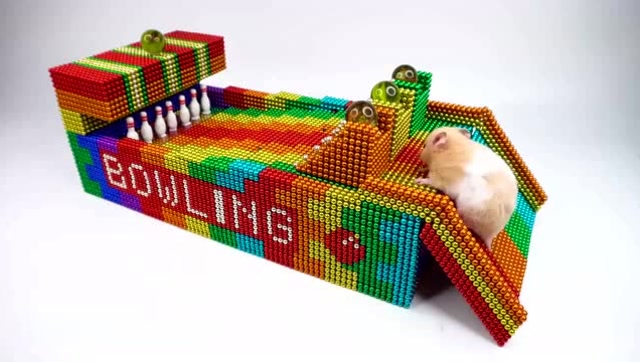 小哥用30000颗巴克球堆了一座仓鼠小广场,玩起来的体验太过瘾了!