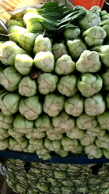 买菜无意看到的,吓我一跳,这个头扁扁的东西是什么呀!