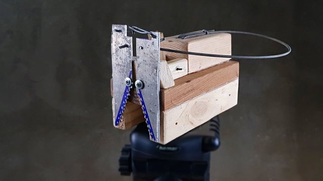 小伙制作了一个不同寻常的老鼠夹,一逮一个准,没有失手的