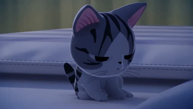 《甜甜私房猫》小奇看起来好困呀