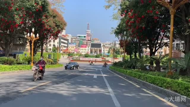大埔县城图片图片