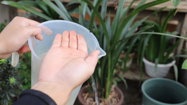 养兰花要牢记不要乱浇水,4种水浇一盆死一盆