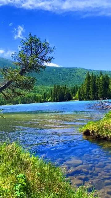 人间仙境喀纳斯,自驾游去了新疆,居然看到这么好看的场景!