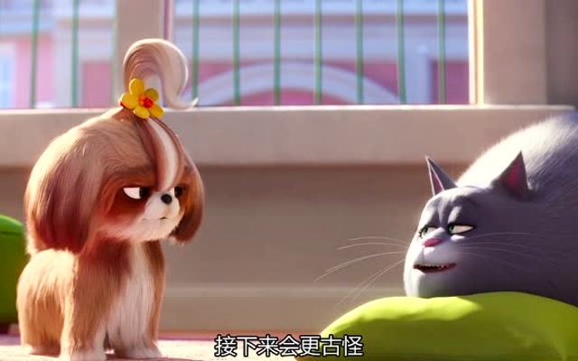 爱宠大机密:小白队长好厉害,它是个大英雄