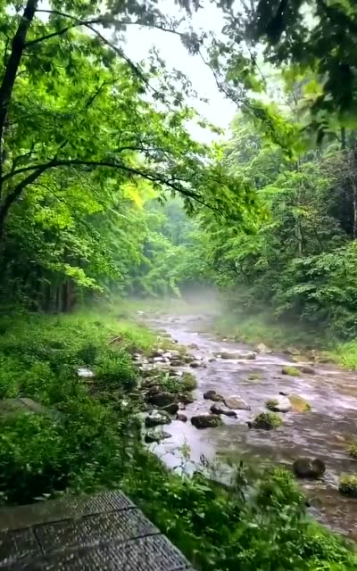 空山新雨后,天气晚来秋,山里的景色太美了!