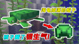 MC盘点07：海龟被雷劈会变成木碗？海龟长大竟能掉绿色的帽子！