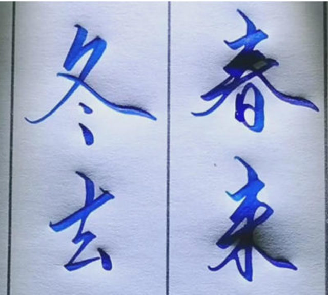 硬笔书法,美工笔书写效果,这字写得挺漂亮的