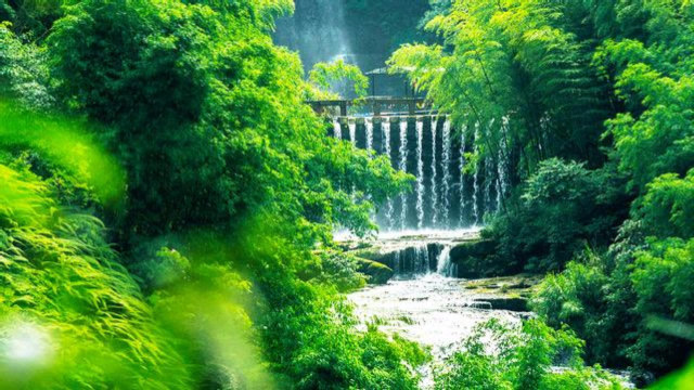蜀南竹海竹林茂密苍翠登高眺望烟波浩渺如临仙境