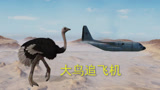 和平精英：沙漠出现一只大鸟，体型比山还大，追着飞机到处跑
