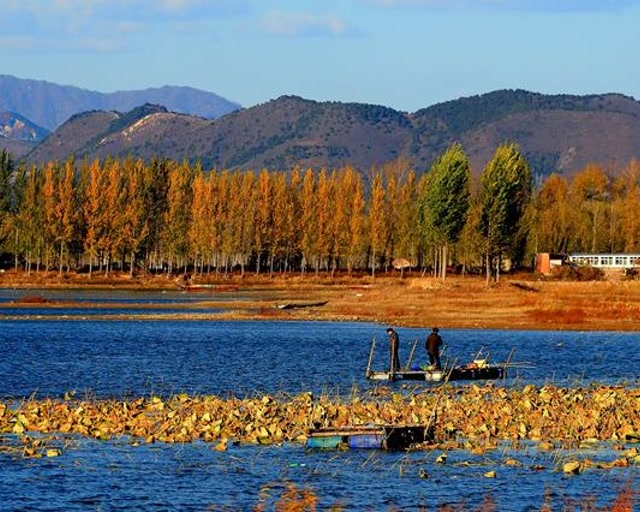 蓟州区渔阳镇文旅艺术团 九九重阳节慰问演出实况剪辑(一)