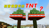 我的世界：树竟能长出TNT？这也太神奇了