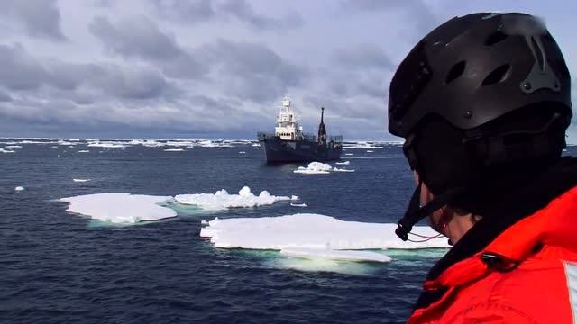 护鲸大战:双方积怨已深,随时可能玉石俱焚!