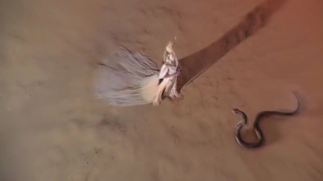 精绝女王将雮尘珠交给巨蛇守护