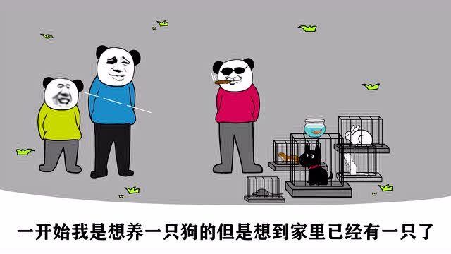 沙雕动画,小时候喜欢养宠物,养了一只兔子,没想到它的肉真香