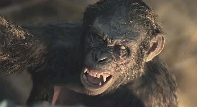 猩球崛起2:科巴被凯撒打服,最后一句话太解气了