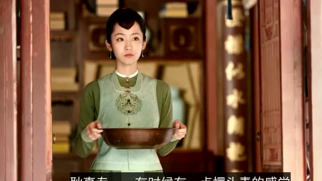 《锦心似玉》今日开播 新生代演员丁洁主演忠心冬青引期待