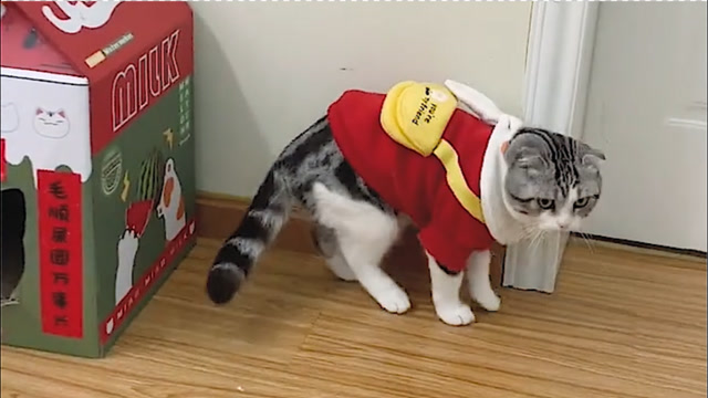 【动物沙雕行为图鉴】:干啥啥不行,模仿第一名!