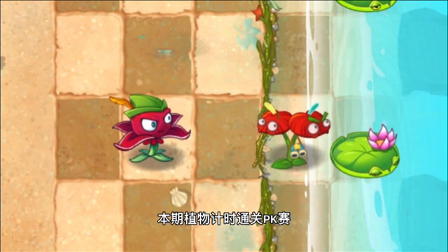 植物大战僵尸:红针花pk电离红掌,看看谁能用更短时间通关成功!