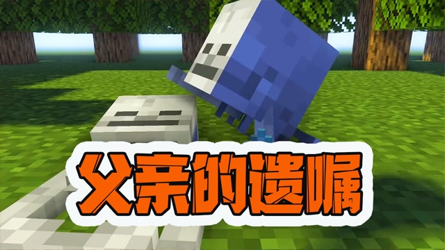 我的世界:骷髅家族史【下集】阿呆成为继父?小骷髅遭遇神秘人!