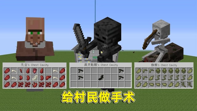 我的世界:当海默肖恩来到mc,给所有人做手术,给他们互换身体!