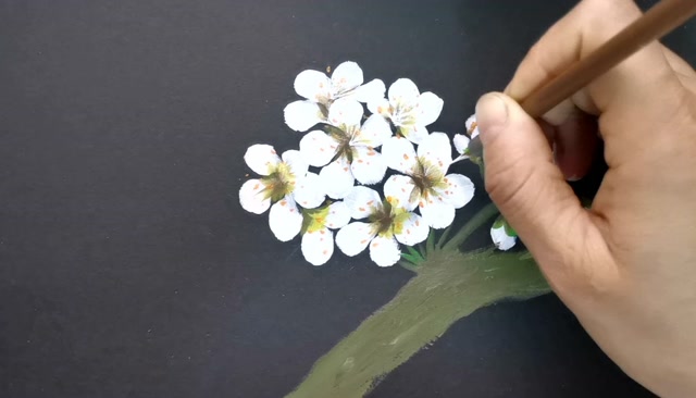 画一撮李子花 零基础也会画