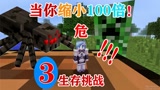 我的世界：缩小生存