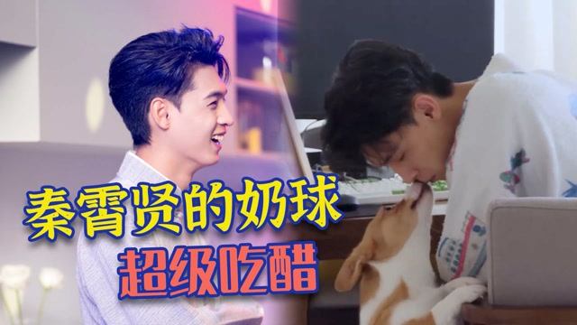秦霄贤的奶球醋意有多强两个男的拥抱都不行综艺江湖巨有料
