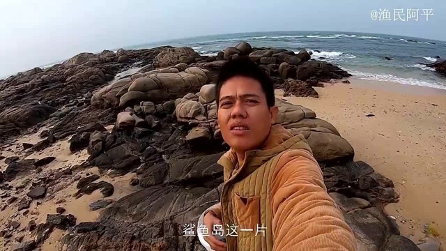 鲨鱼岛赶海,阿平抓获一对活宝,又抓一条猛货卖给西斯换钱买肉吃