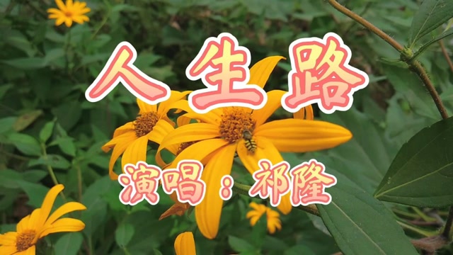 一首很美的网络歌曲《人生路》,唱出了多少人生的感触,真好听!