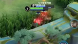 同样都是连体婴为什么你那么脆弱呢~#王者荣耀 #元芳你怎么看