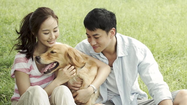 《我的男友和狗》终极预告 何润东张钧甯真情告白 one minute more