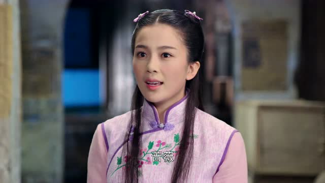忍冬艳蔷薇_29_视频素材