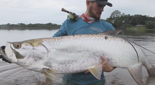 丛林海鲢 - basshow路亚钓鱼