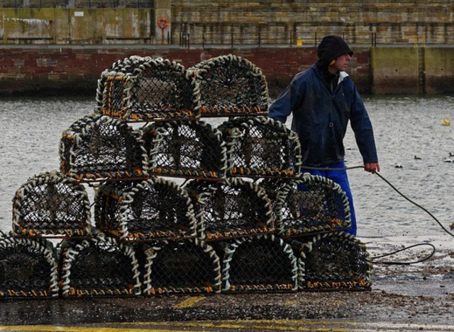 总算弄明白这个笼子的原理了