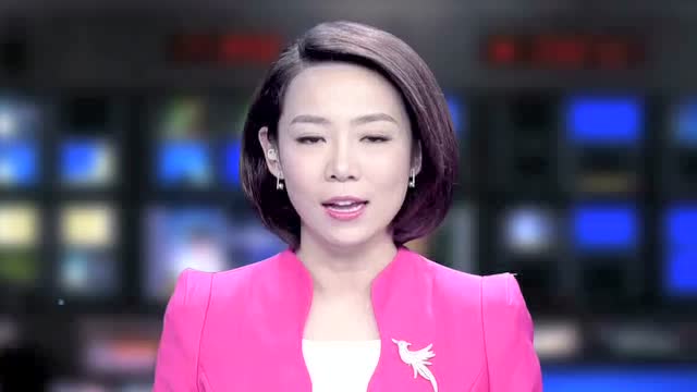 湖南都市频道对世界创客大会的采访