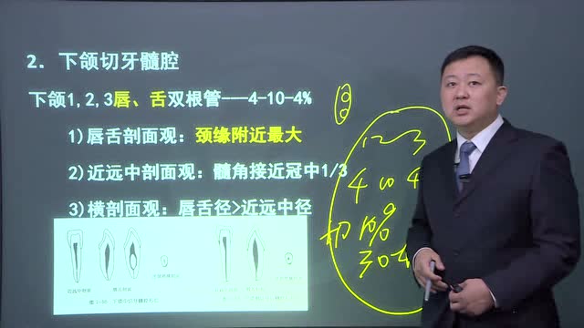 17口执医师精讲强化001-002口腔解剖生理学杨东