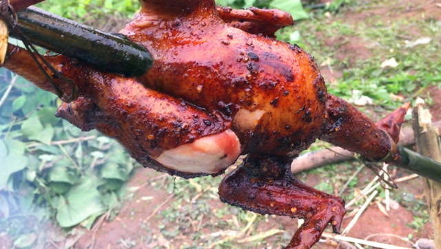 农村小伙野外烤鸡,肉香四溢,吃的根本停不下来