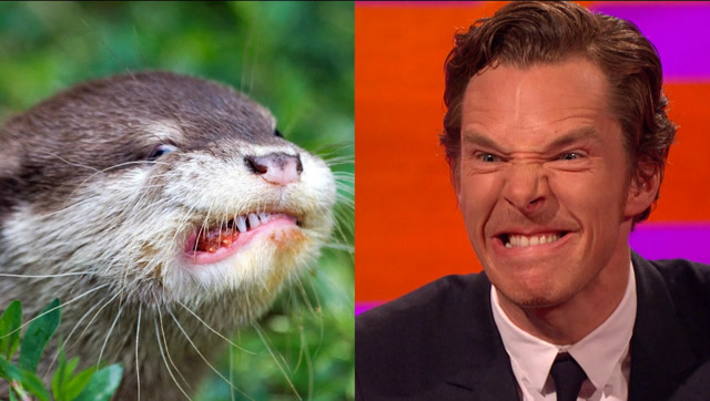 没想到你是这样的福尔摩斯?卷福神模仿水獭,杰克船长都看呆了!