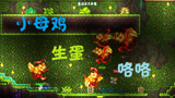 泰拉瑞亚 terraria 汉化版MOD 111 愤怒的小鸡