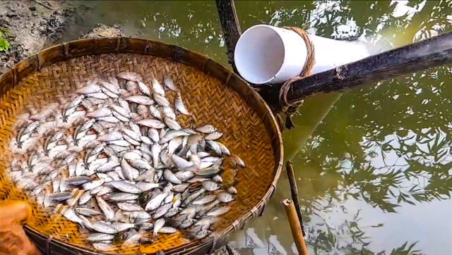 印度大叔捕鱼的方法很特别,这是什么原理?