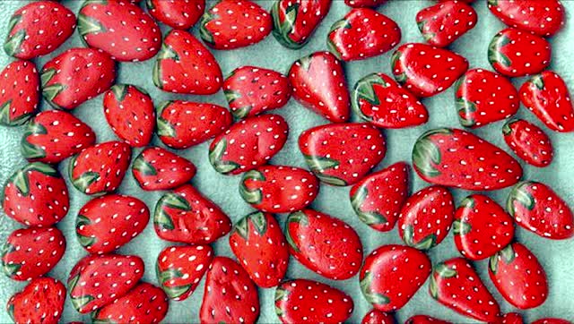 石头草莓|草莓都是种的?我们的草莓是从石头里蹦出来的!