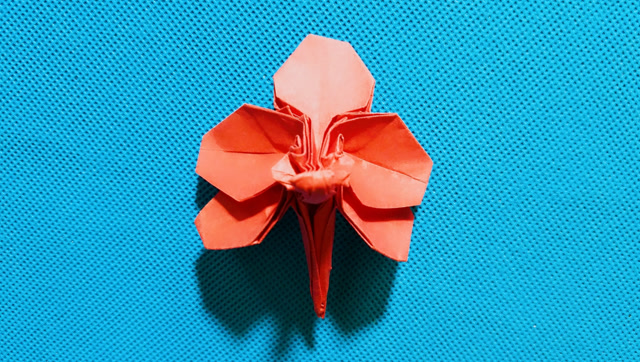 手工折纸兰花图片