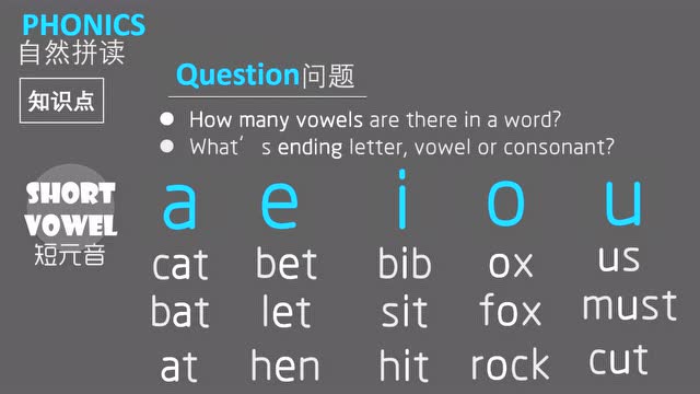 phonics基础课-2-short vowels 短元音