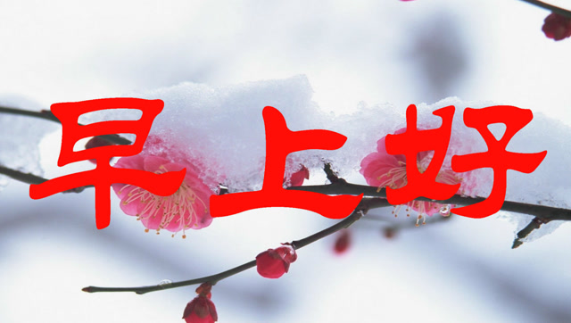 腊月二十六早上好,一首美妙情歌听的我心醉,好歌必须分享给你!