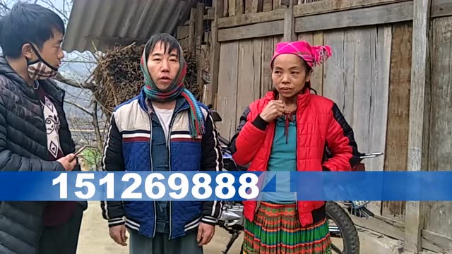 越南hmoob苗族寻亲01