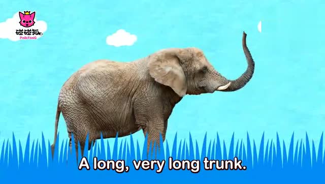 碰碰狐英文动物儿歌:elephant 大象