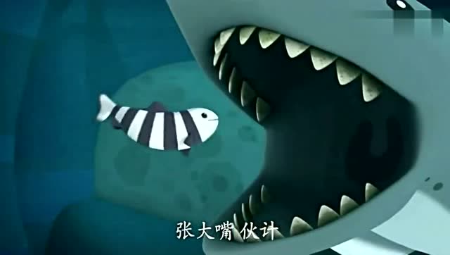 海底小纵队引水鱼是海底最棒的清洁工它帮助白鳍鲨清洁牙齿