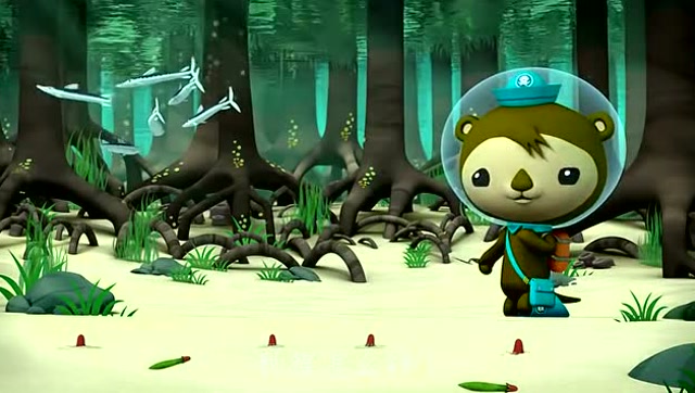 海底小纵队:有种鱼叫梭鱼,是会在海底穿梭的嘛