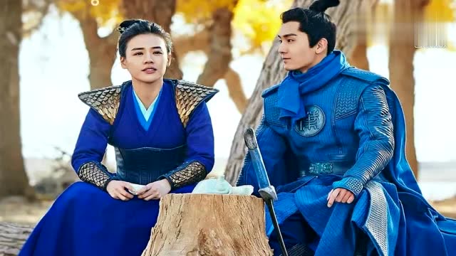 《将军在上》叶昭为赵玉瑾生下一个可爱宝宝后从此不问江湖事