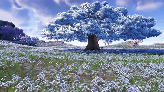 【天刀ol】东海移花宫唯美风景抢先看